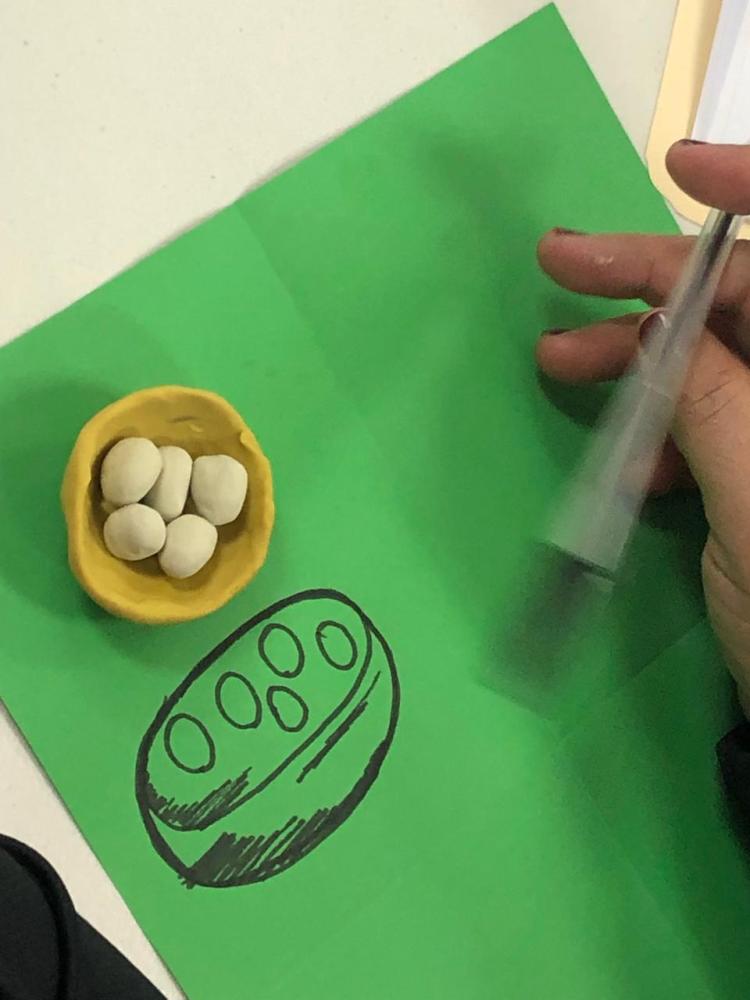 Taller_Honduras_Hilo_Colectivo